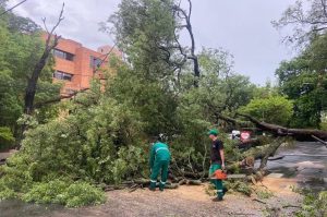 Fuerte tormenta deja más de 700 familias damnificadas en Paraguay