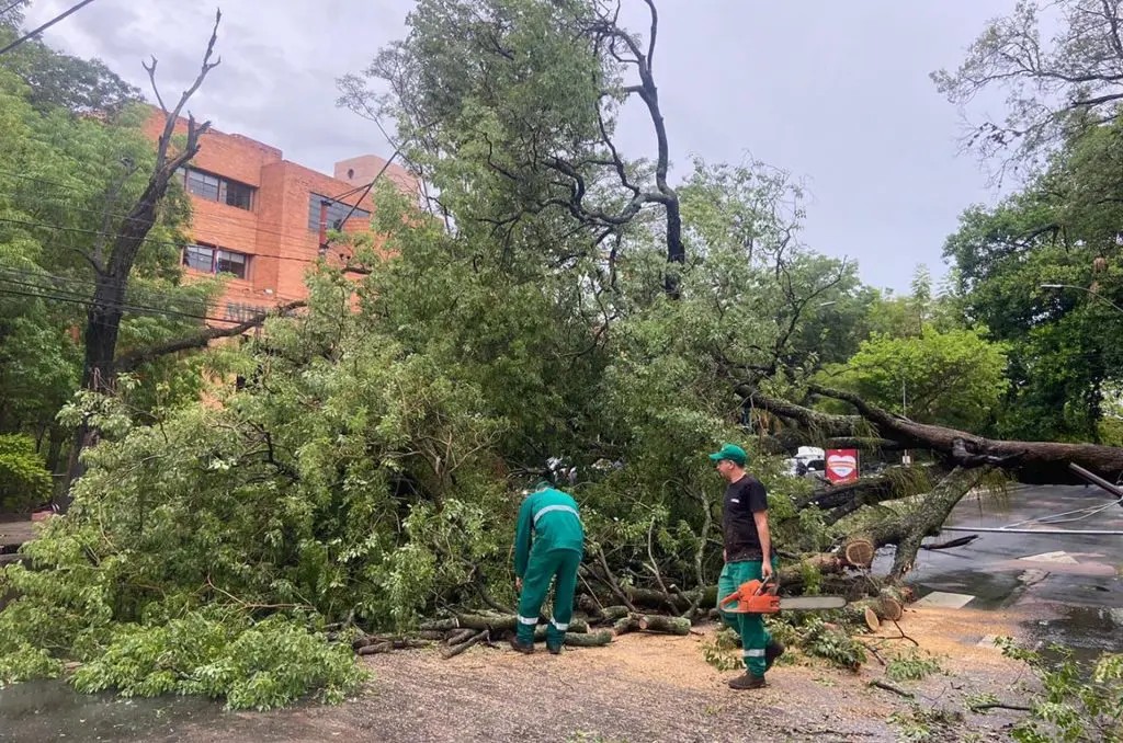 Fuerte tormenta deja más de 700 familias damnificadas en Paraguay