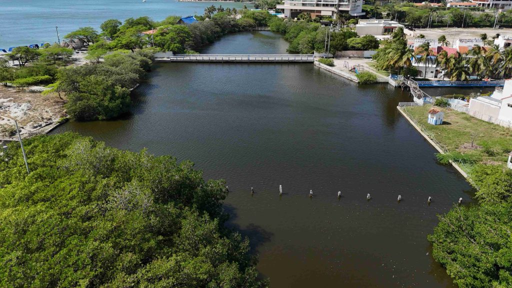 Expertos evidenciaron bajos niveles de oxígeno en la columna de agua, situación que compromete la supervivencia de la fauna acuática.